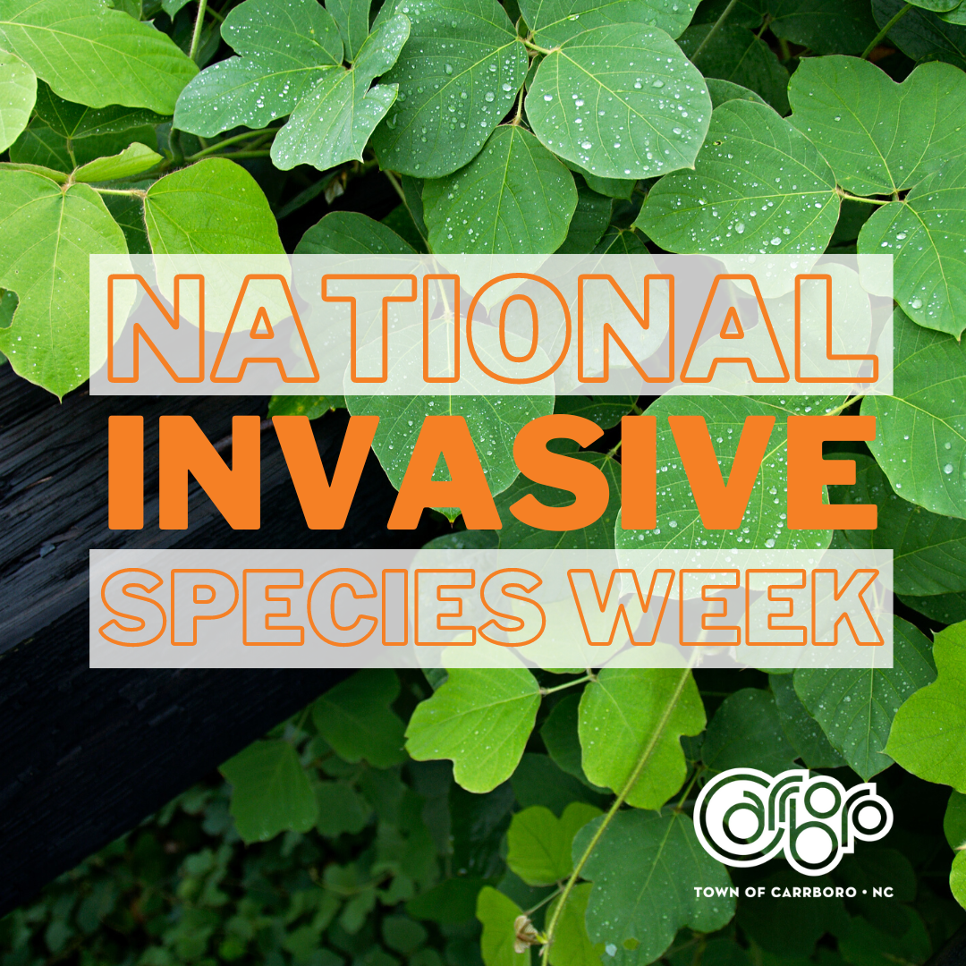 Invasive Species Week Graphic 2023