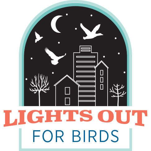 Lights out for birds