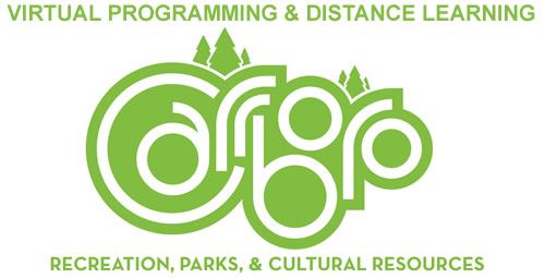 VirtualProgrammingGraphic