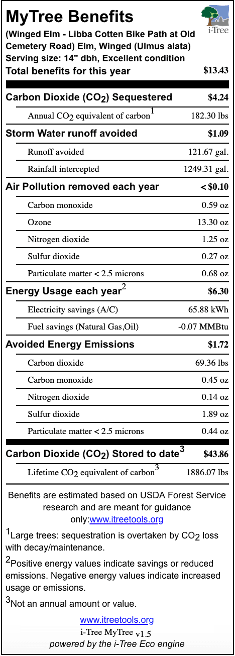 Winged Elm Libba Cotten Bike Bath at Old Cemetery Road