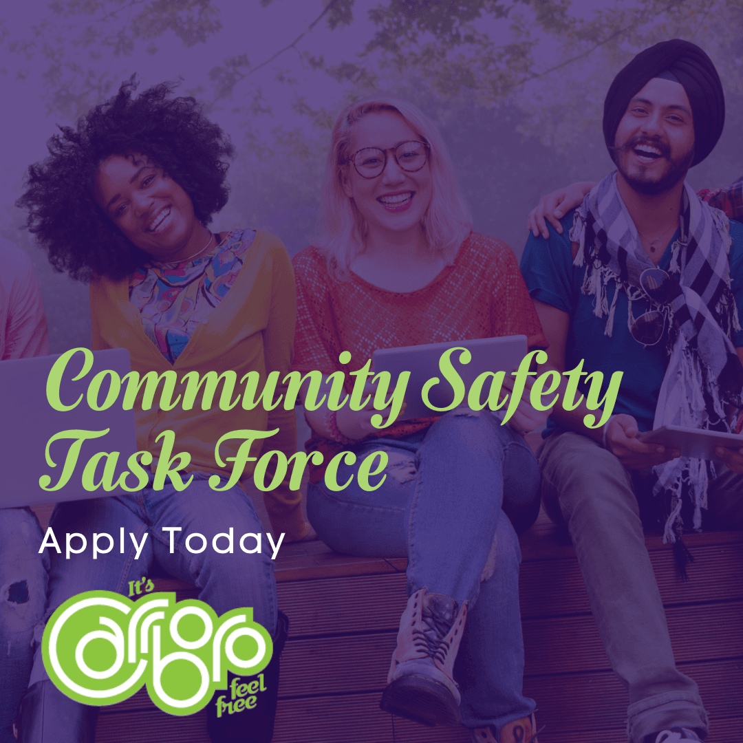 Communty Safety Task Force